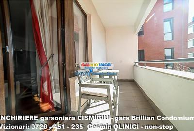 Garsonieră semidecomandată, mobilată în Cișmigiu - 8