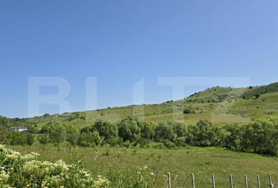 Teren de 1100 mp, în Sălicea - 5