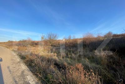 Parcele intravilane cu panorama superba in Chinteni - 2