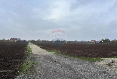 Teren de 2000 mp, în Ciolpani - 2