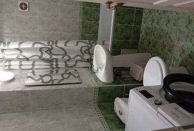 Inchiriez apartament 2camere Inchiriez apartament 2camere - 6