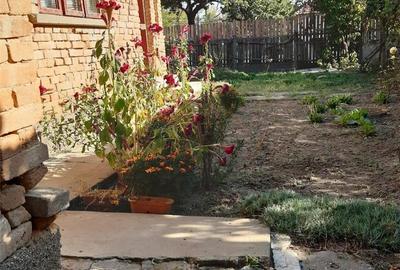 Casă cu 4 camere în Bogata - 4