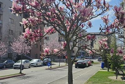 Apartament NOU Targoviste| Complex cu facilitati: Paza , 4 Parcuri, Gym, Scoala - 14