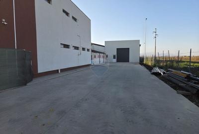 Hala plus spatiu birouri, zona Strada Vrancei - 2