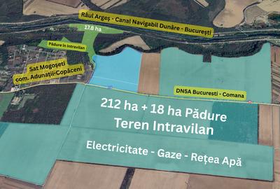 Teren Unic 230 ha – Acces Direct DN5A – In Sudul Bucurestiului