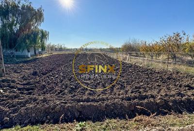 De vanzare ferma Calarasi in stare de conservare - sere - livada - 19