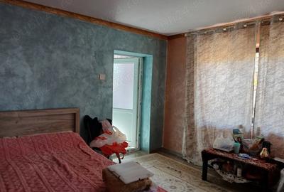 Casă cu 2 camere cu Teren 2000 Mp în Cârna - 4