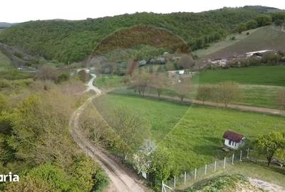 Teren de 3826 mp, în Apahida - 6