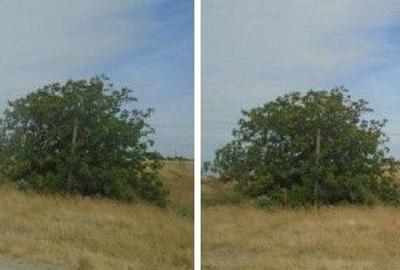 Teren de 11000 mp, în Smârdan - 10