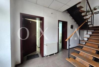 AX1153 Elisabetin, Bulevardul 16 Deccembrie 1989, Spatiu Birou - 4