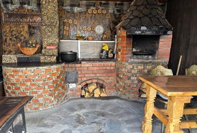 Casă cu 6 camere cu Teren 820 Mp în Tiha Bârgăului - 12