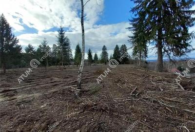 Teren Construcții intravilan de 2000 mp, în Central