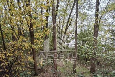 Teren Intravilan Cuied 3260 mp - 3