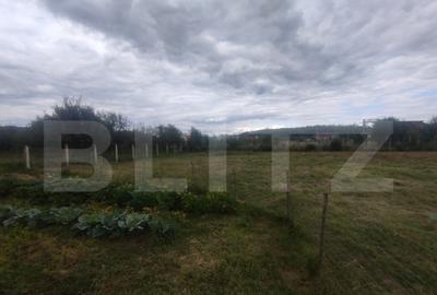 Casa batraneasca, 70 mp, teren 25 ari, orasul Beclean - 7