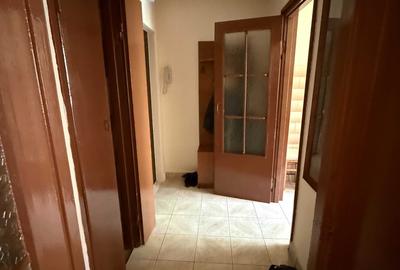 Apartament cu 2 camere semidecomandat în Săsar - 5