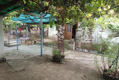 Casă individuală cu 14 camere cu Teren 1439 Mp în Brădișoru de Jos - 13