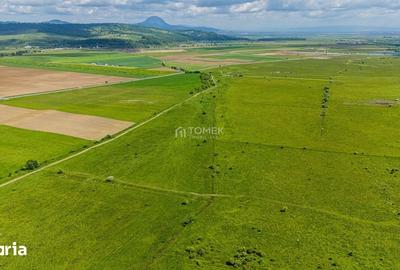 Teren de 5800 mp, în Central - 17