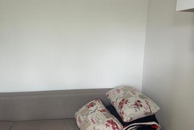 Garsonieră semidecomandată, mobilată în Baicului - 2