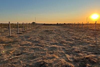 Teren Intravilan, Veterani, 500 Mp, Imprejmuit, Utilitati - 1