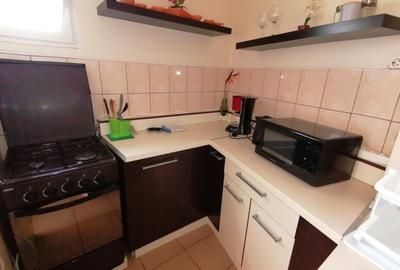 Apartament cu 2 camere semidecomandat, mobilat în Romană - 3