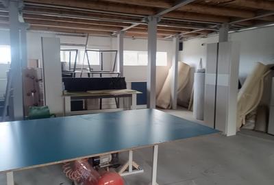 Zona Industriala, hala nou, 290-400 mp., curte generoasa. - 11