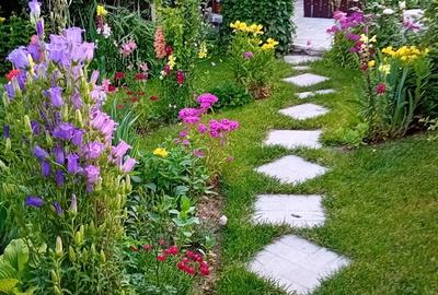 Casă cu 3 camere cu Teren 508 Mp în Tei - 15