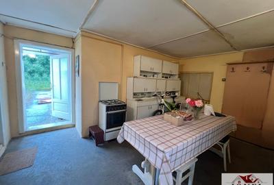 Casa de vanzare in Sebes - 8