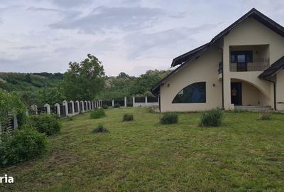 Casă cu 3 camere cu Teren 3000 Mp în Slătioara - 13