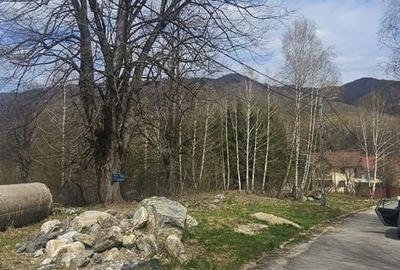 Spațiu comercial, în Poiana - 2