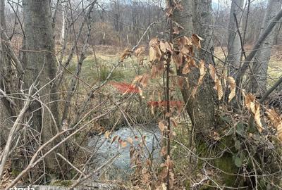 Teren de 15470 mp, în Prundu Bârgăului - 3