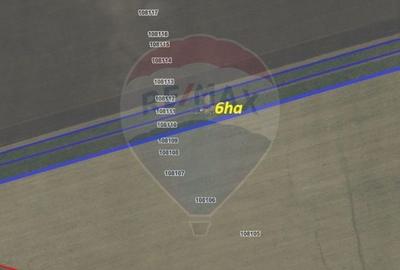 Teren agricol extravilan de 60000 mp, în Săcele - 2