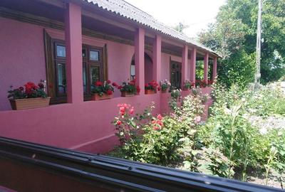 Casă cu 3 camere în Trifești - 5