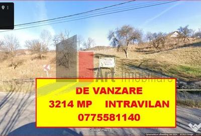 Teren de 3214 mp, în Rucăr - 10