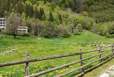 Teren Construcții intravilan de 10000 mp, în Sătic - 3