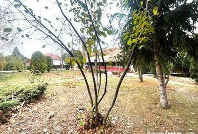 Casă cu 6 camere cu Teren 1566 Mp în Central - 8