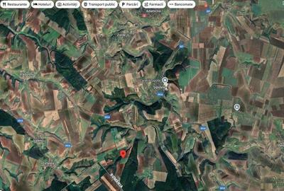 Teren de 18800 mp, în Deleni - 5