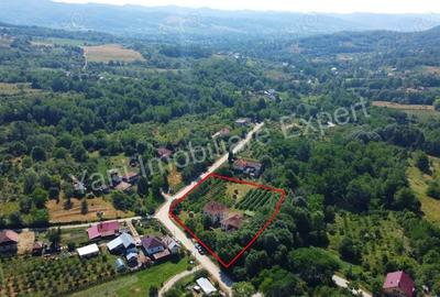 Casa + 6100 mp teren de vanzare in comuna Cepari, sat Urluie?ti, jude? Arge?. - 2