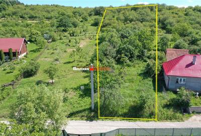 Teren de 2878 mp, în Podgoria - 1