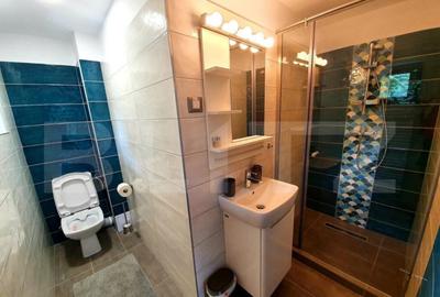 Vila deosebita cu 6 camere, 530mp, Statiunea Sovata - 5