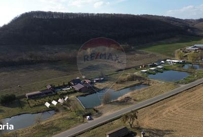 Teren de 7000 mp, în Laslea - 16