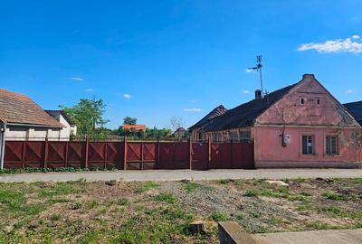 Casă individuală cu 3 camere cu Teren 1439 Mp în Sânpetru Mare - 2
