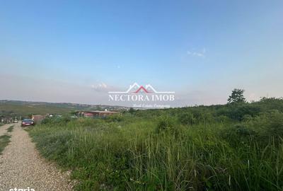 Spațiu comercial, în Săldăbagiu de Munte - 3