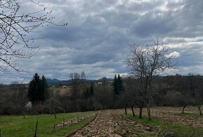 Casă cu Teren 20000 Mp în Vârfurile - 3