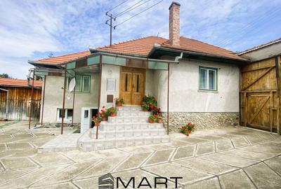 Casa Sacel 120 mp utili, teren 1100 mp si parau - 1
