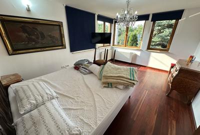 Proprietate cu piscina Dumbravita - 34