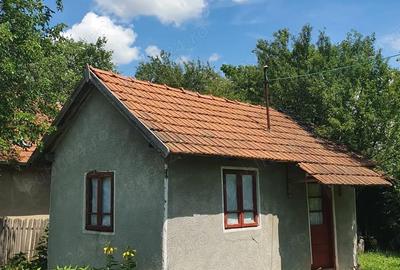 Casă cu 5 camere cu Teren 3000 Mp în Butoiești - 9