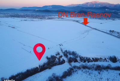 Teren de 5000 mp, în Pănicel