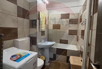 Garsoniera decomandata de inchiriat- Valea Rosie - 2