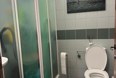 Stefan cel Mare, Central Park - 10