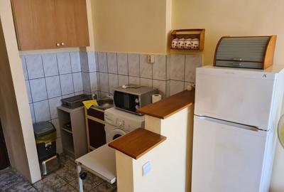 Garsonieră semidecomandată în Dosu Bricii - 2